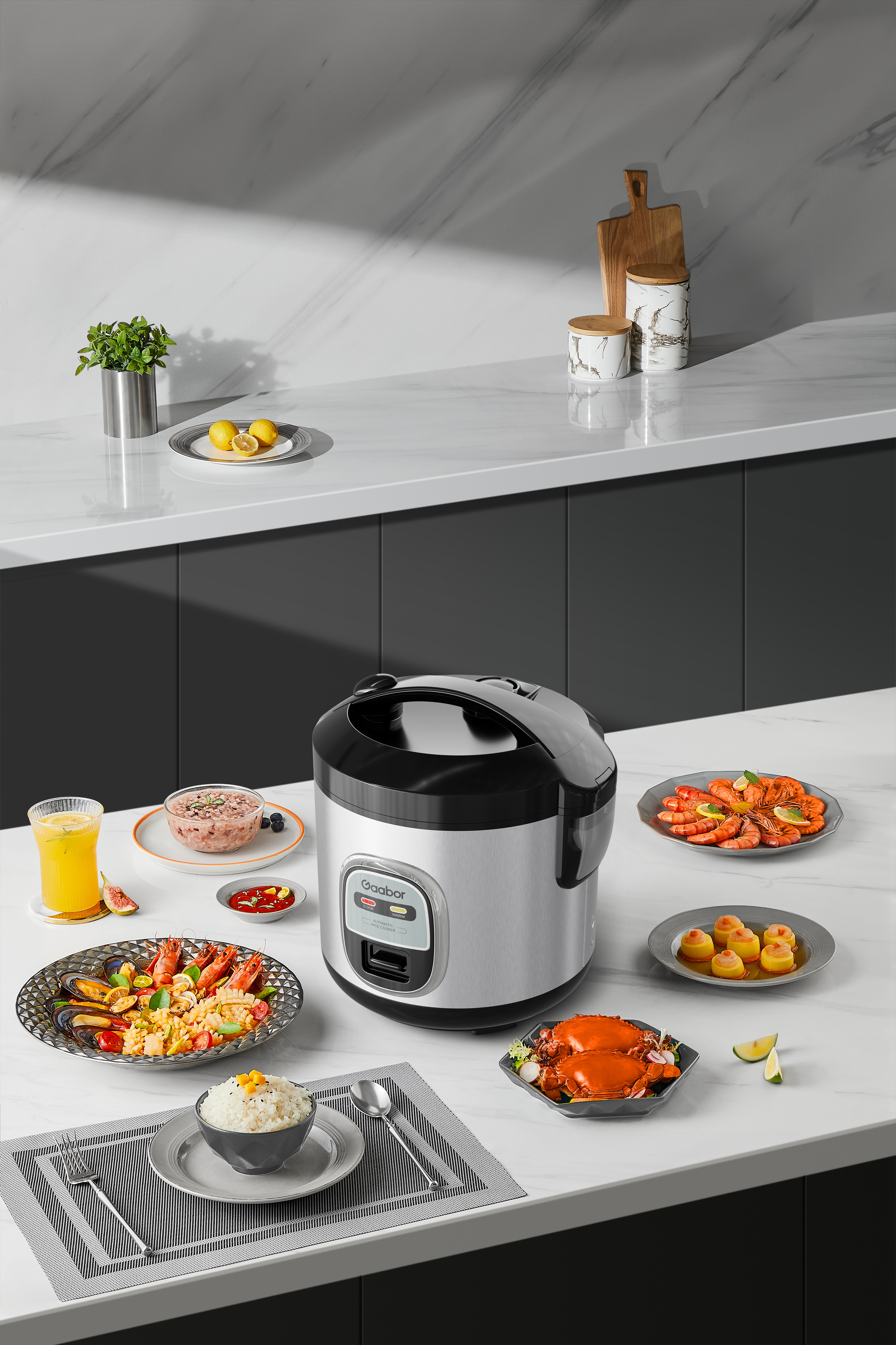 Nồi cơm điện RC20M-YE01A hiệu Gaabor